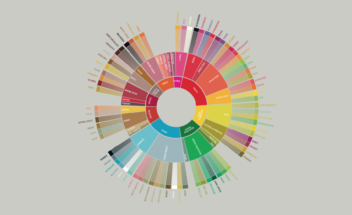 EXPLORE CUPPING. EXPLORE FLAVOURS