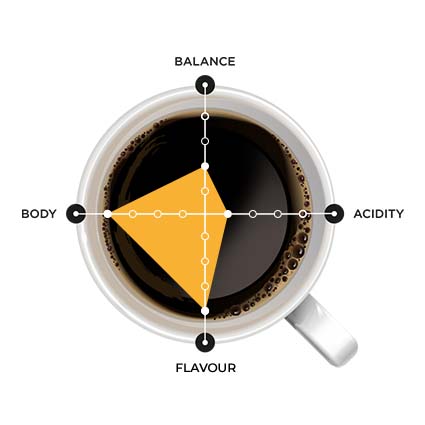 Pocket Brew - Selection spider graph